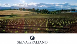 L' Azienda Vitivinicola "SELVA DI PALIANO" sceglie FRIGOVENETA!  preview